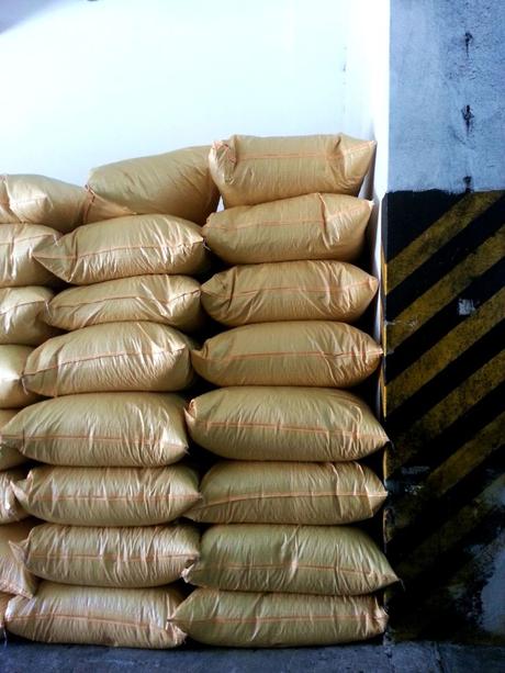 Blossom zine Blog tecnosugheri portogallo (4)