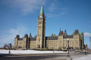 Avignone: una storia di intrighi e potere nella Francia meridionale