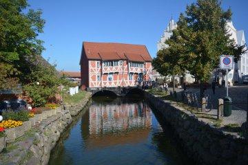 Avignone: una storia di intrighi e potere nella Francia meridionale