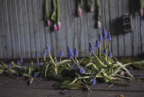 delicate flowers in the floor boards