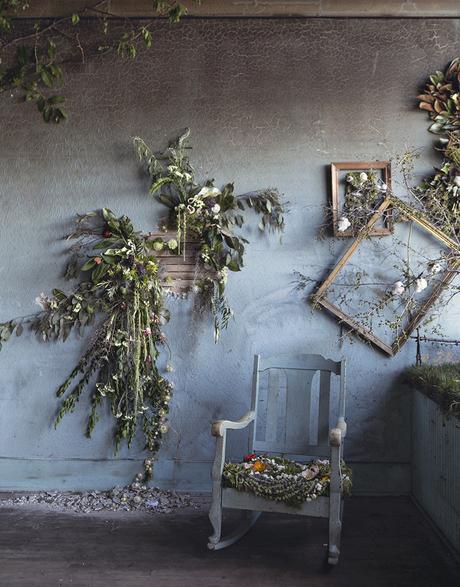 plants hanging from the ceiling