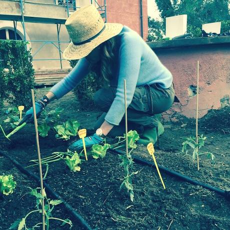 Insta Grammi di felicità: svarioni, ascelle e sobrietà