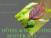 Master hotel marketing