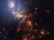 brillanti stelle 1333