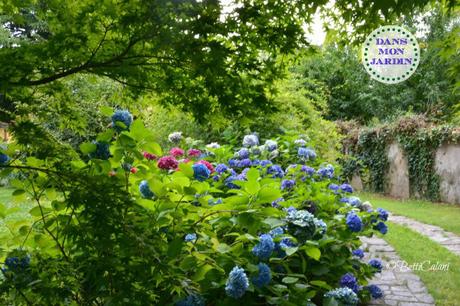 20140704_giardino di Carnago (12)_