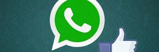 Whatsapp sempre simile Facebook: Tasto Piace