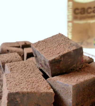 fudge al cioccolato, mirtilli e cacao