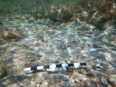 Scoperte nel mare di Delos