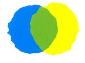 libri banditi, recenti polemiche felicità