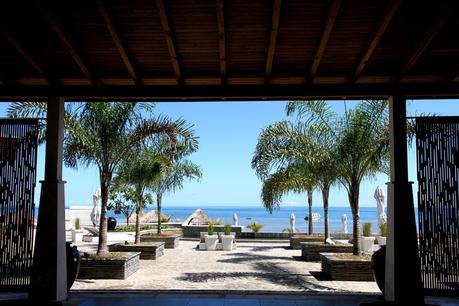 PalmBeach_Madagascar_3[1]