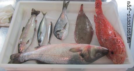 Corso di avviamento alla professione di cuoco - A tavola con lo Chef 7