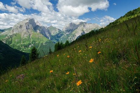 Sul Monte Polinik