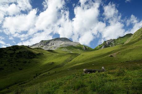 Sul Monte Polinik