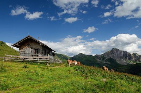 Sul Monte Polinik