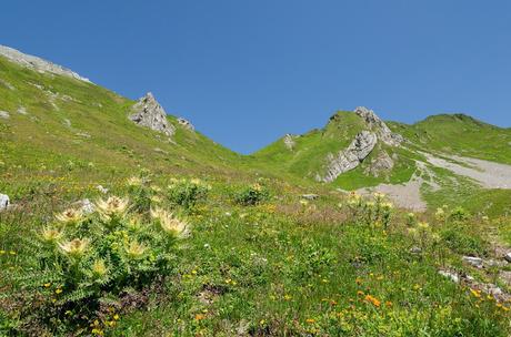 Sul Monte Polinik