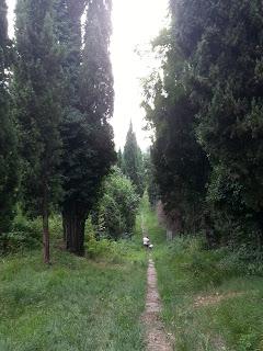 L'orrido di Inverigo