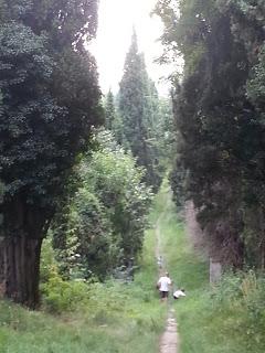 L'orrido di Inverigo