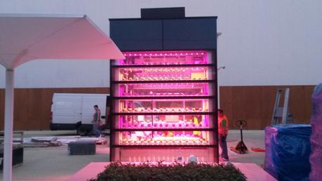 Vertical farm made in Italy