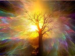 Psicopittografia, la tecnica del transfert