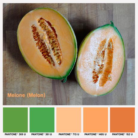 lacaccavella-food&colors-colors-pantone-melone-melon-palette-melonpalette-01