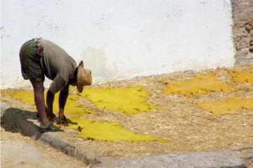 Sognando il Marocco: le metropoli, le spiagge e Marrakech