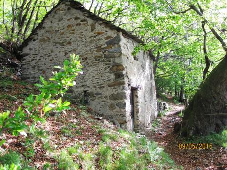 Escursioni sul Lago di Como: Breglia e i Monti Lariani