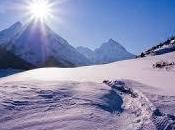 bomboniere invernali diventano alberi innevati