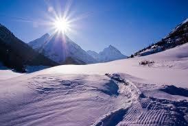 Le bomboniere invernali diventano alberi innevati