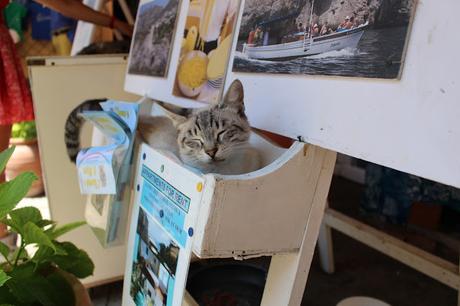 Travel .... Positano