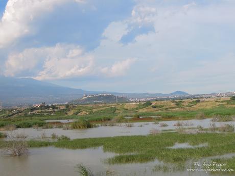 Viaggio in Sicilia: la valle del Simeto