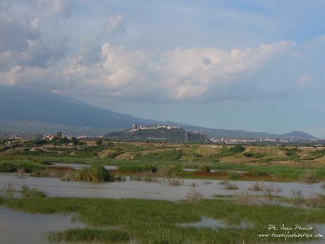 Viaggio in Sicilia: la valle del Simeto