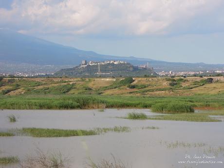 Viaggio in Sicilia: la valle del Simeto