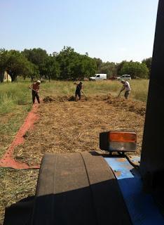 neonata Comunità dei Produttori dei Legumi di Zollino