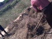 neonata Comunità Produttori Legumi Zollino