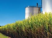 07/07/2015 Bioenergia: impegno comune l'ambiente. Opportunità crescita agricoltura imprese italiane