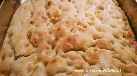 Focaccia Genovese con Licoli o con Pasta Madre