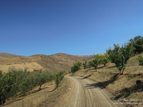 Viaggio in Sicilia: gli agriturismi della Valle del Simeto