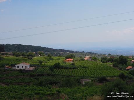 Viaggio in Sicilia: gli agriturismi della Valle del Simeto