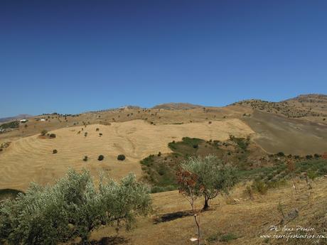 Viaggio in Sicilia: gli agriturismi della Valle del Simeto