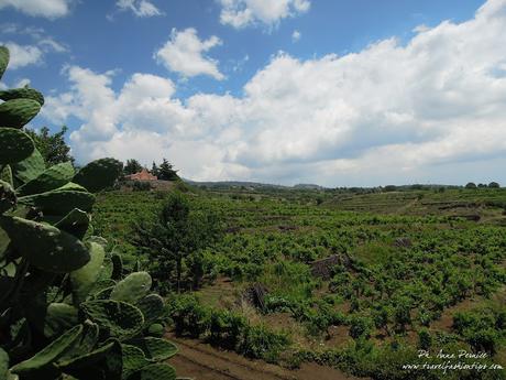 Viaggio in Sicilia: gli agriturismi della Valle del Simeto