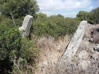 Archeologia in Sardegna. Due giorni fra i menhir del Sarrabus.