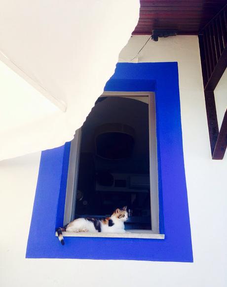 Un mese di assenza, un mese di cambiamenti, un mese di Bodrum.