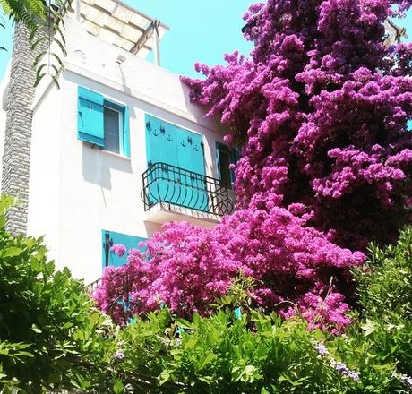 Un mese di assenza, un mese di cambiamenti, un mese di Bodrum.