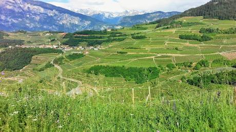 Visitare la Val di Cembra in Trentino