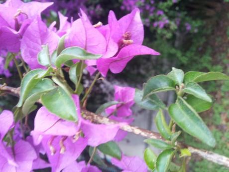 Sicilia: cinque motivi per visitare la Val d’Agrò