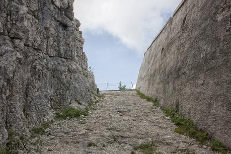 Alla ricerca di un po' di fresco