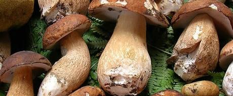 5 Sagre da non perdere in Campania: weekend 10-11 luglio 2015