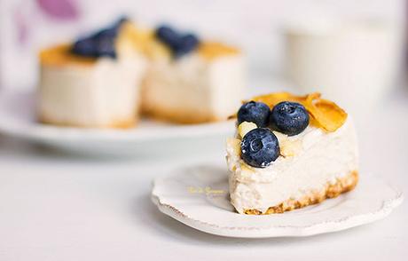 cheesecake vegan senza cottura