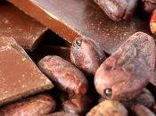 cioccolato crudo senza cucina crudista