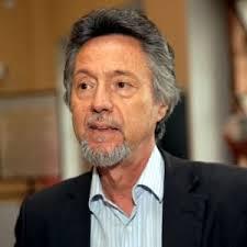 Risultati immagini per andolina